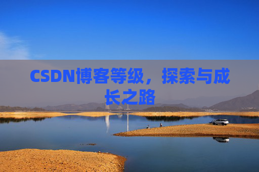 CSDN博客等级，探索与成长之路